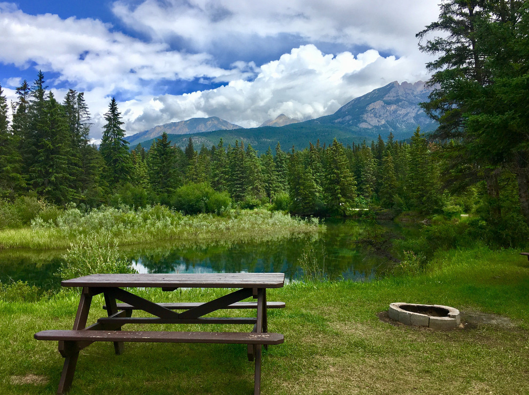 Spruce Grove Campground