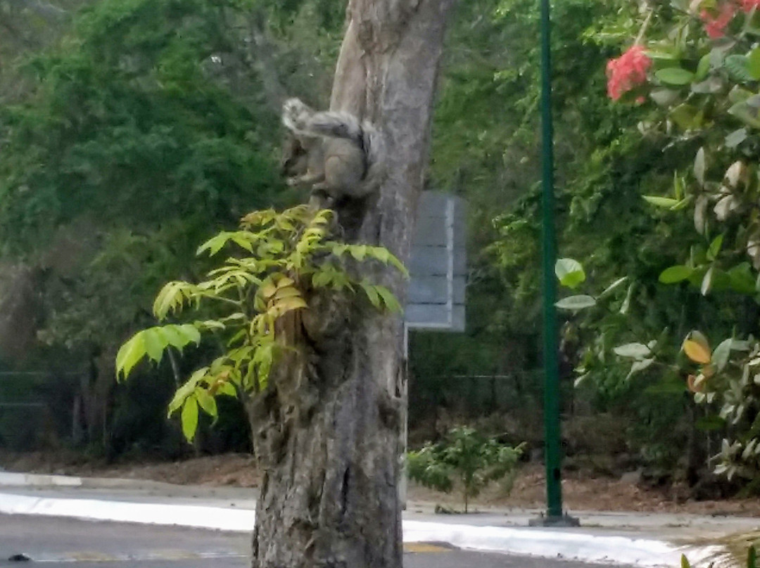 Barceló Huatulco主图