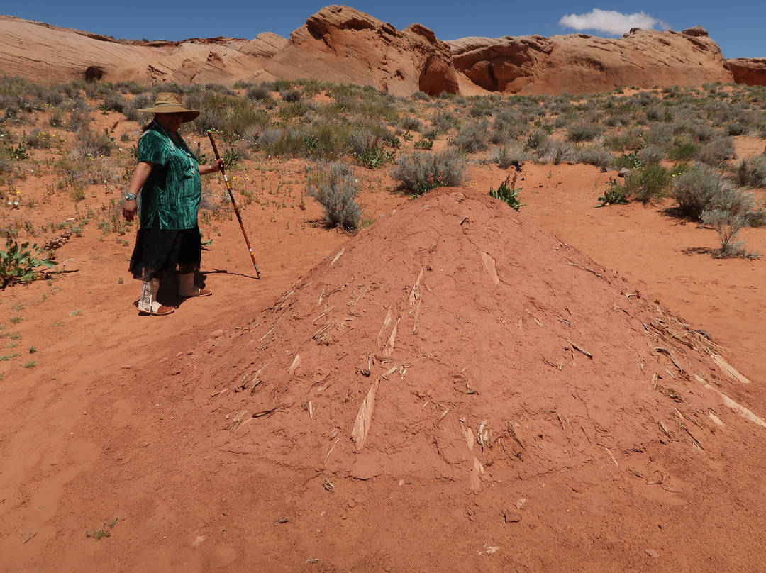 Navajo Village Heritage Center景点图片