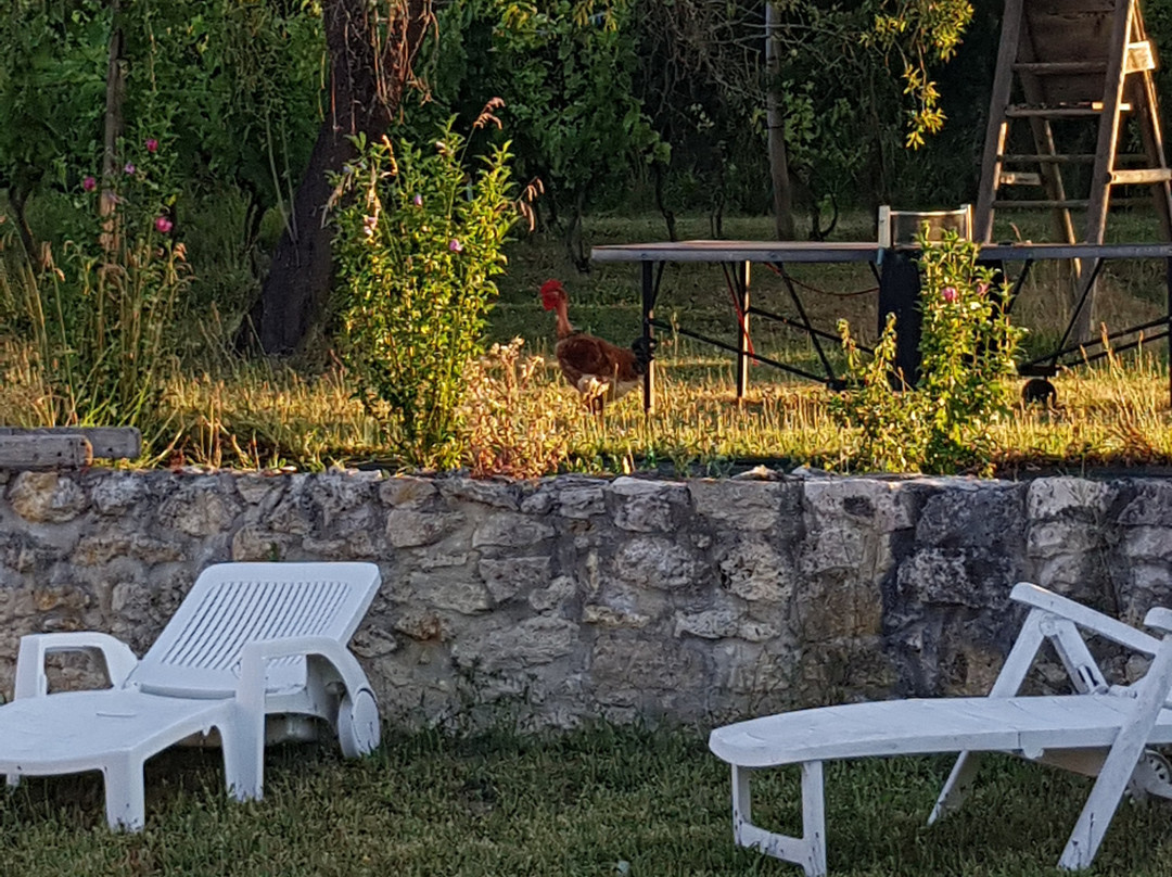 Domaine de la Rose des Vents主图