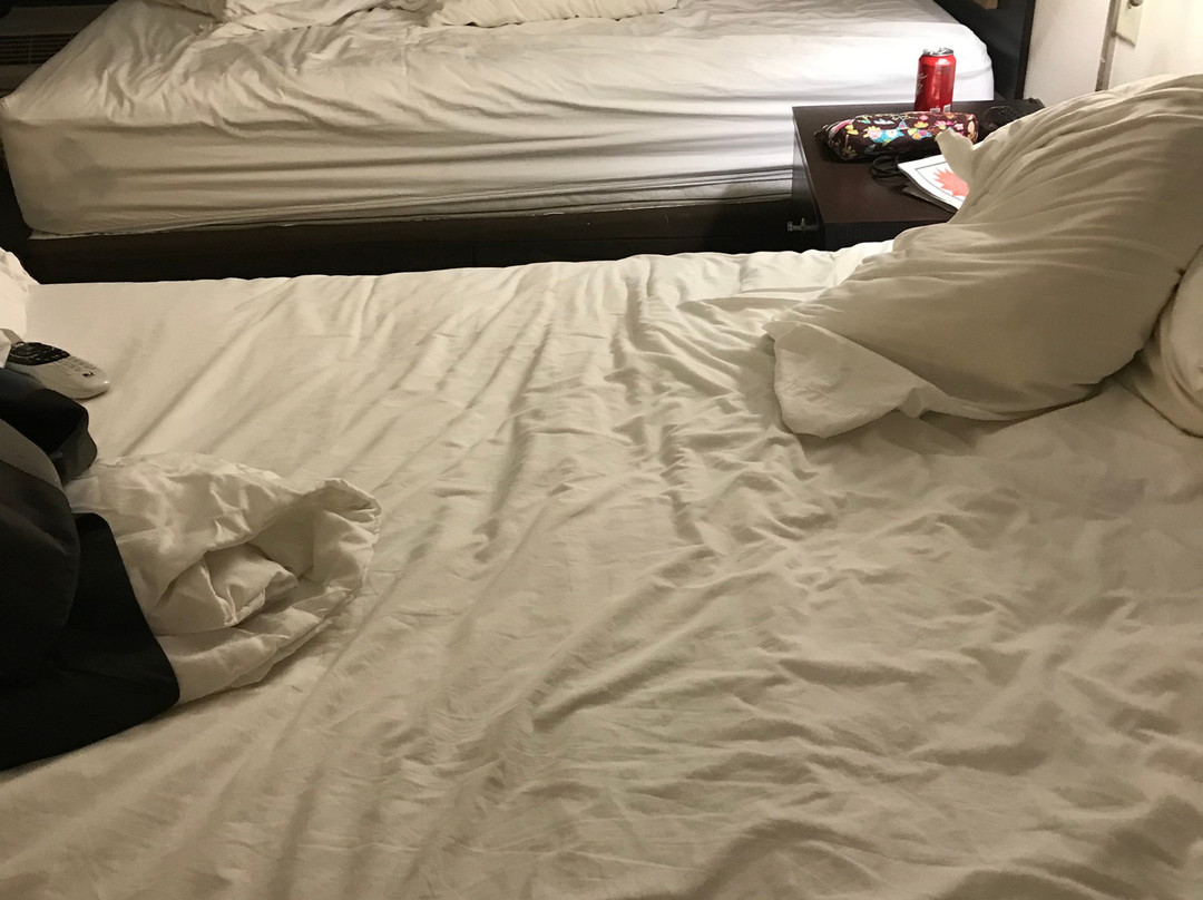 Wingate by Wyndham Montgomery主图