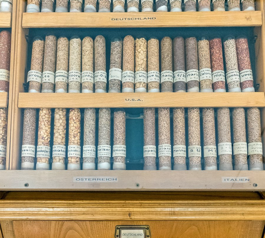 Das Europaische Brotmuseum-Ebergotzen必去景点