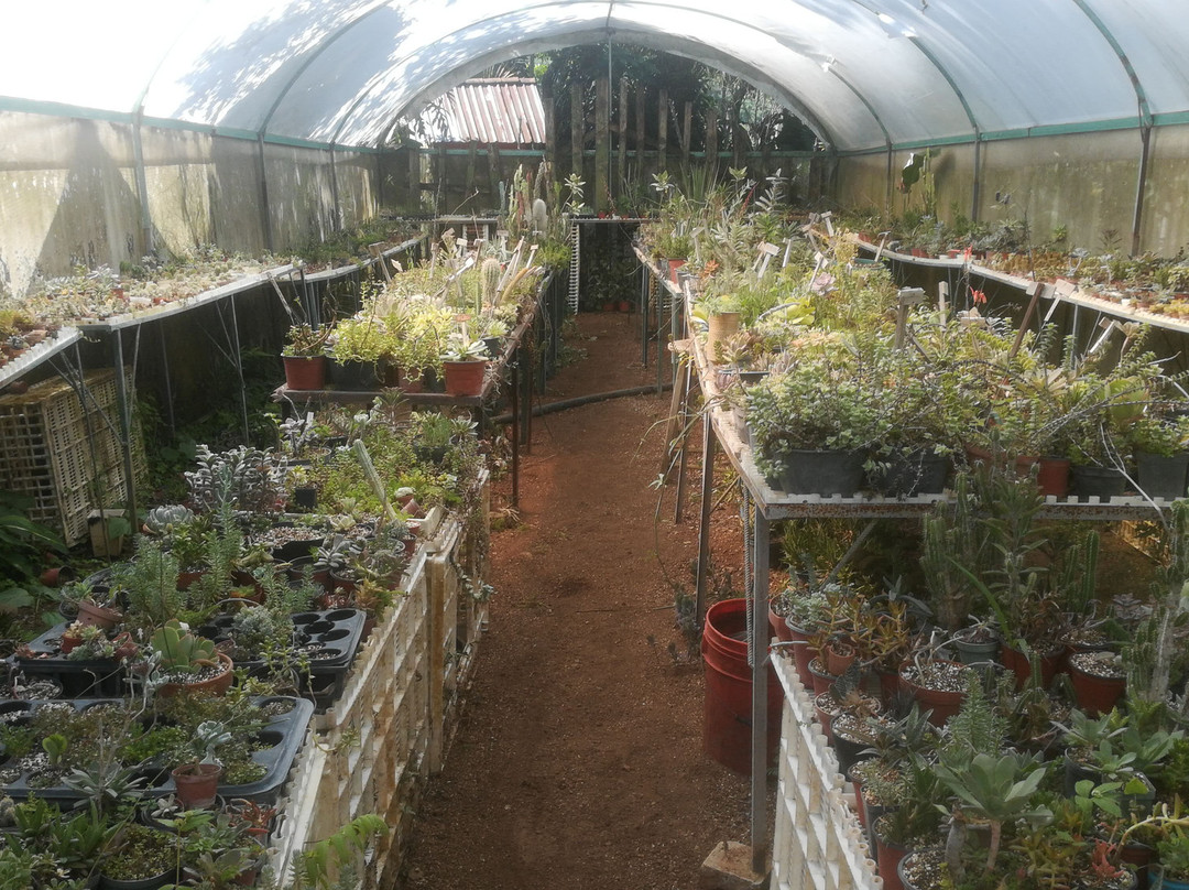 Cafetalera San Felipe-Cordoba必去景点