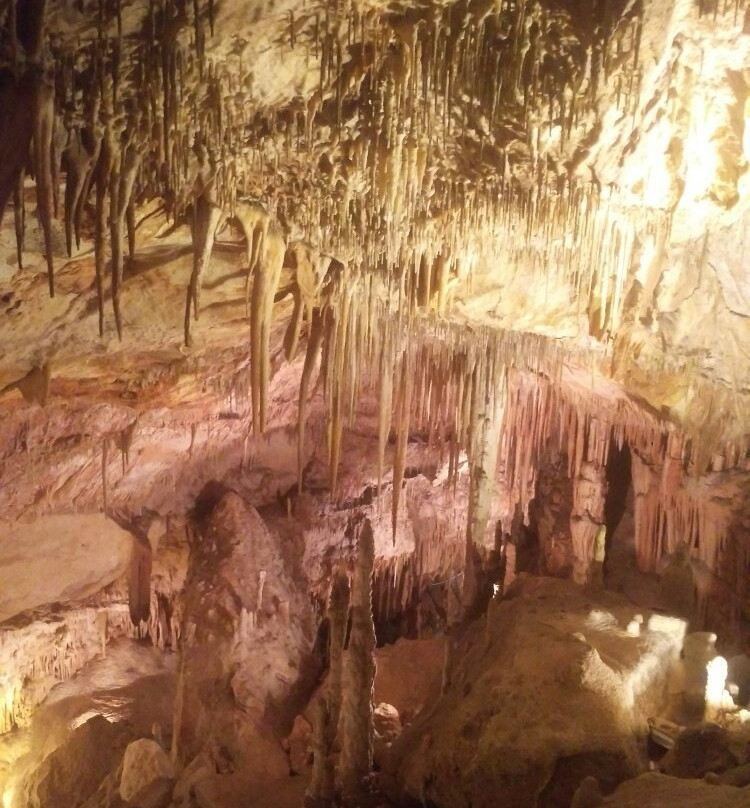 Cuevas del Drach景点图片