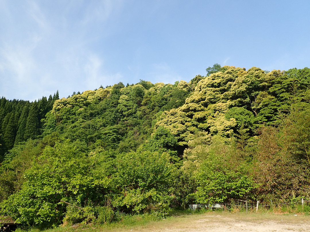 Hibayama Kume Shrine景点图片