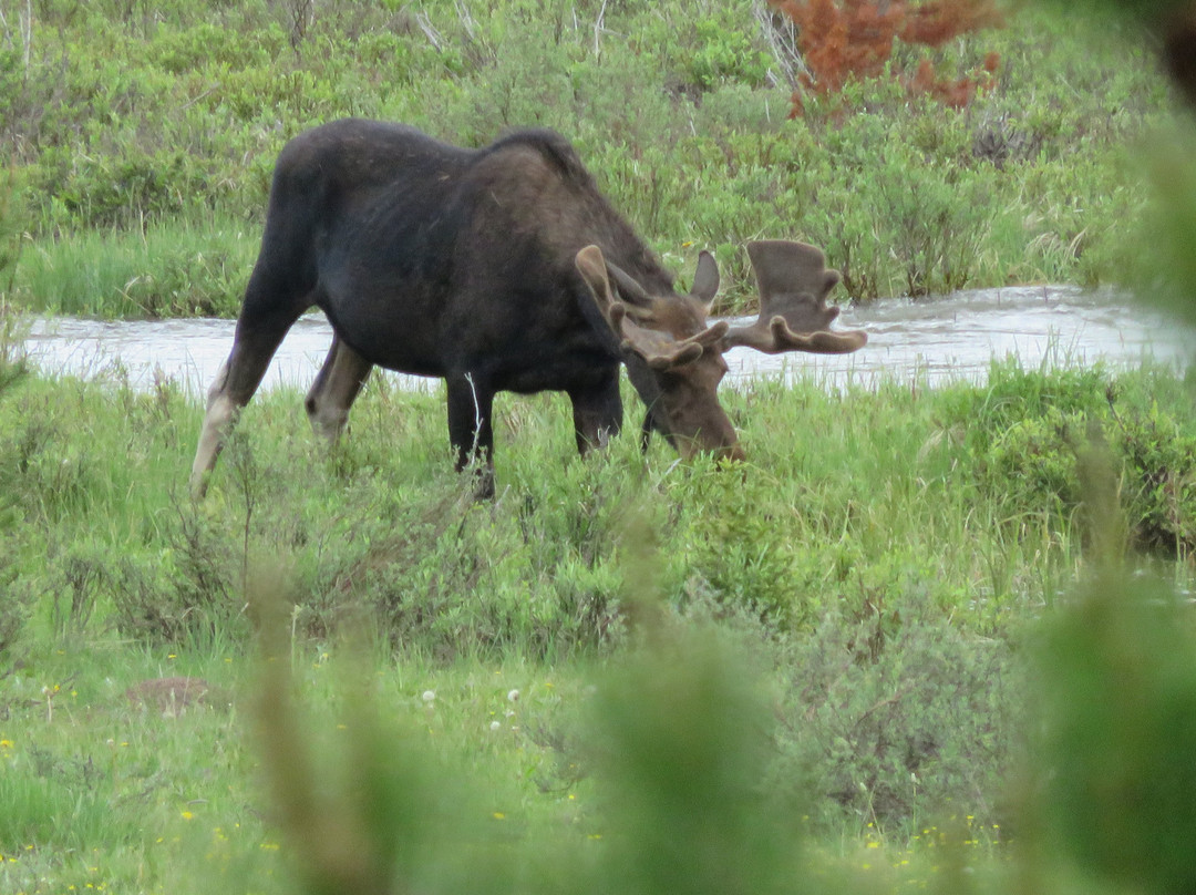 Colorado Highland Tours景点图片