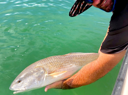 Reel Tight Fishing Charters-萨拉索塔必去景点