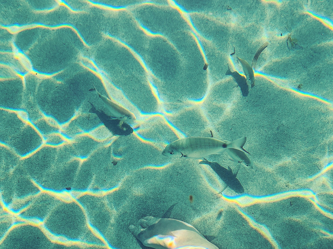 德皮尼酒店主图