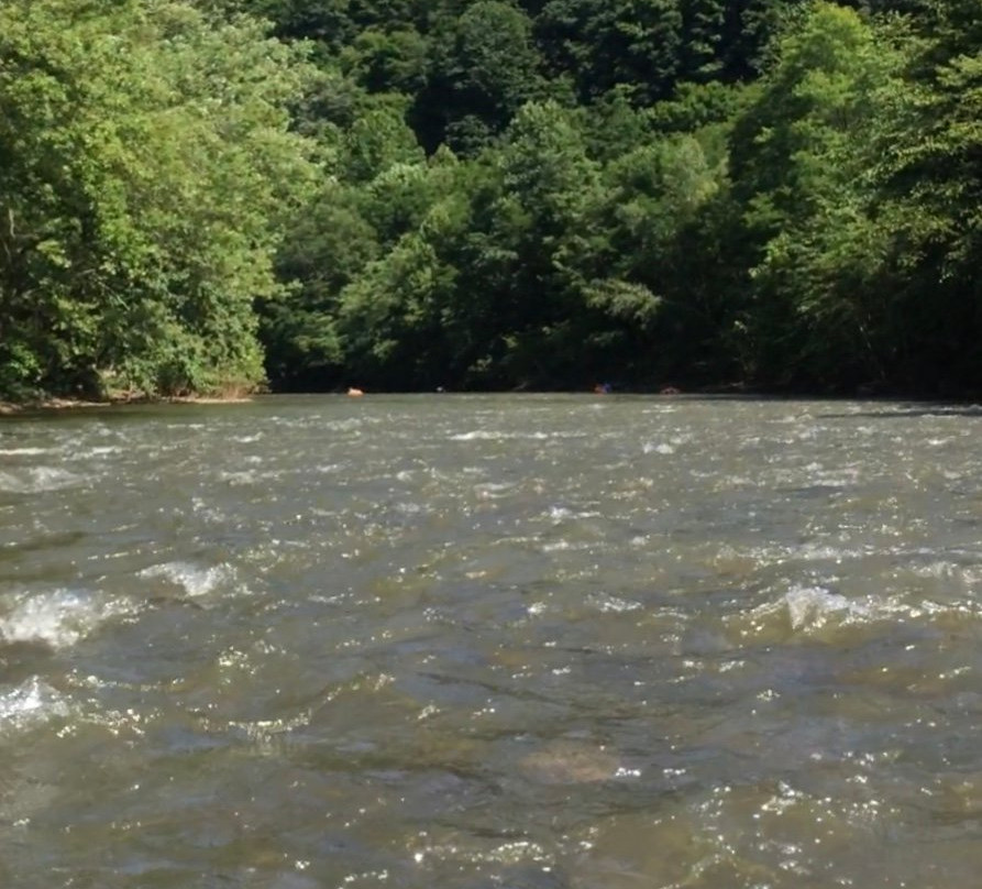 Coal Tubin' Pennsylvania-Johnstown必去景点