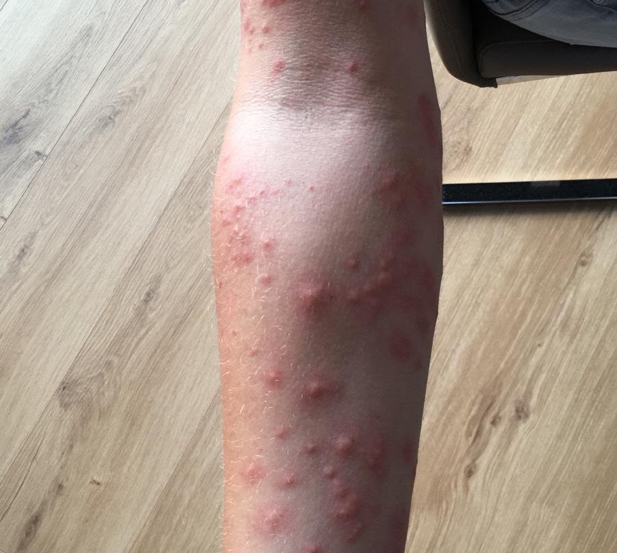 Fun Forest Venlo-Tegelen必去景点