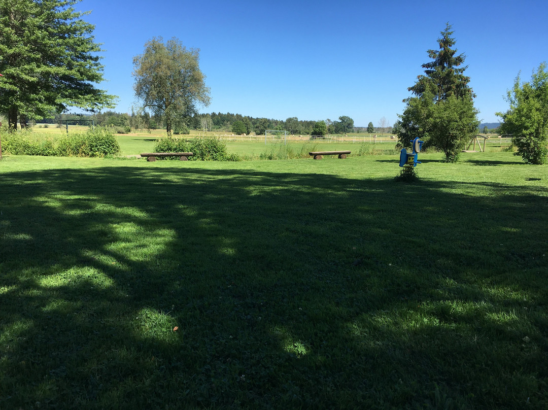 Landhotel Alte Muhle主图