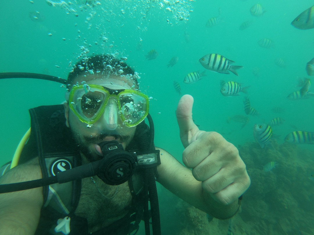 Kish diving center-基什岛必去景点