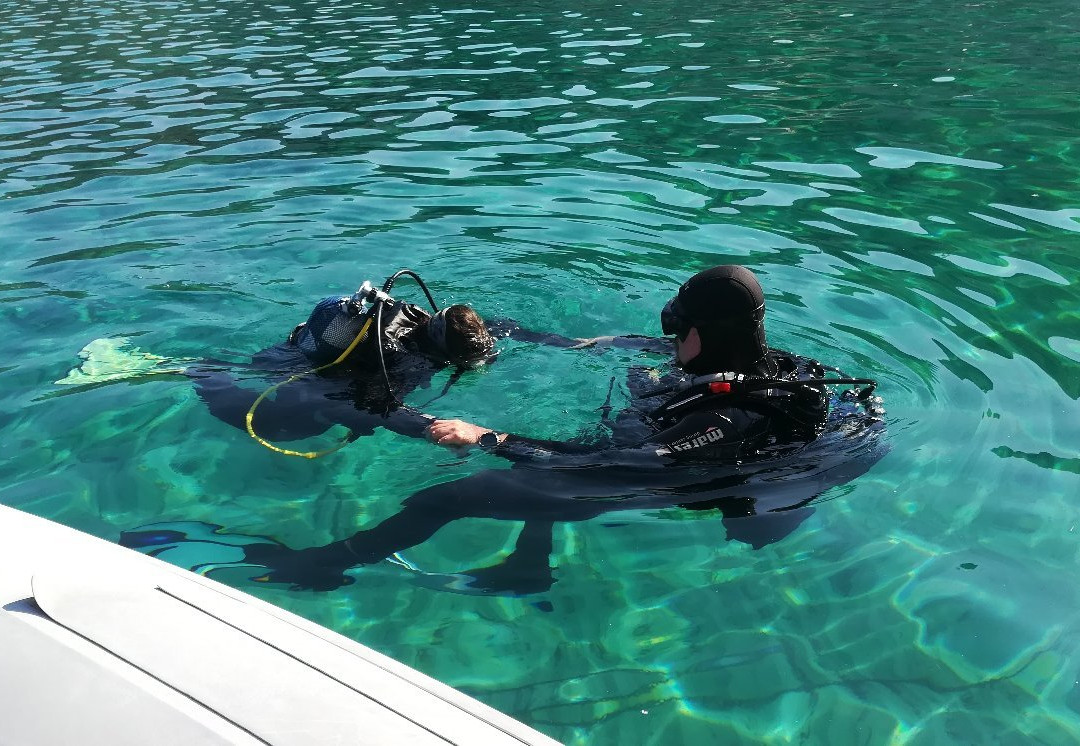 Max Shark Diving-Isola del Giglio必去景点