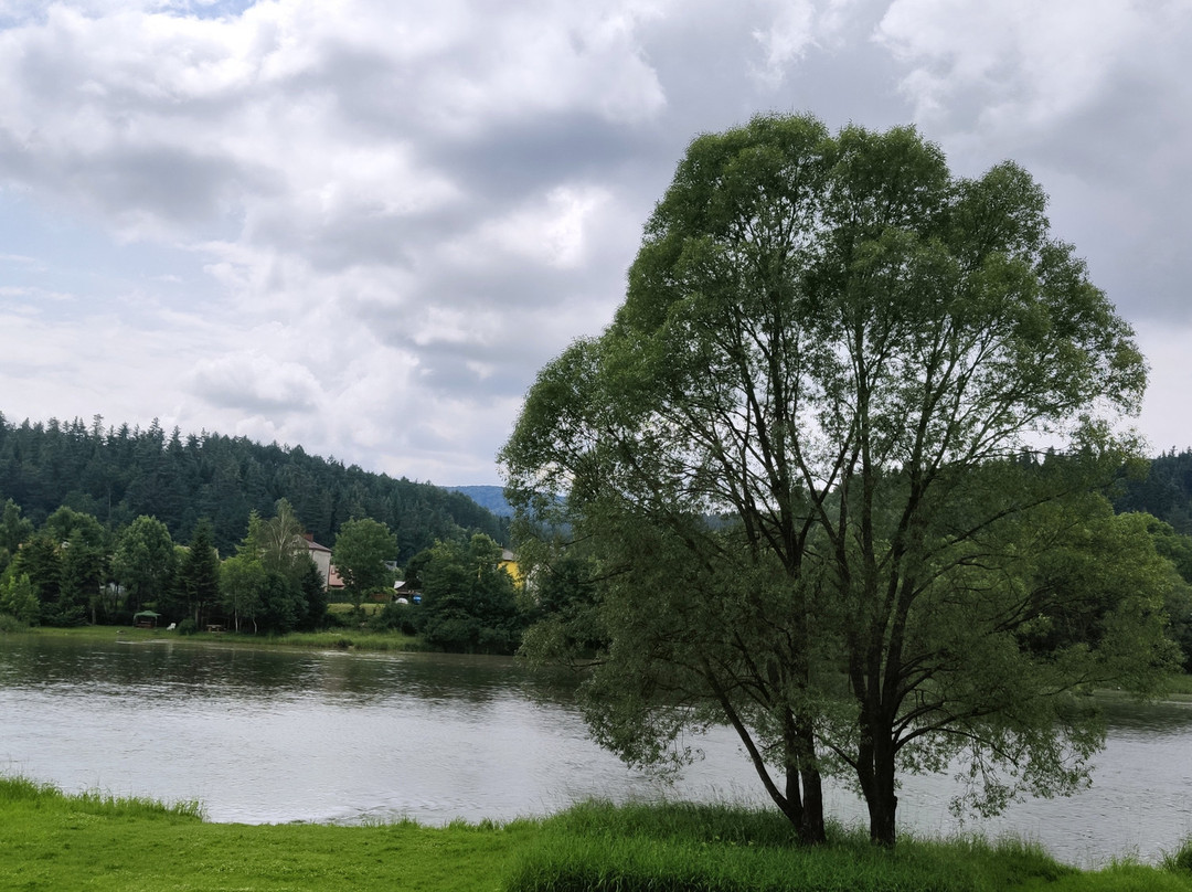 Gosciniec nad Sanem