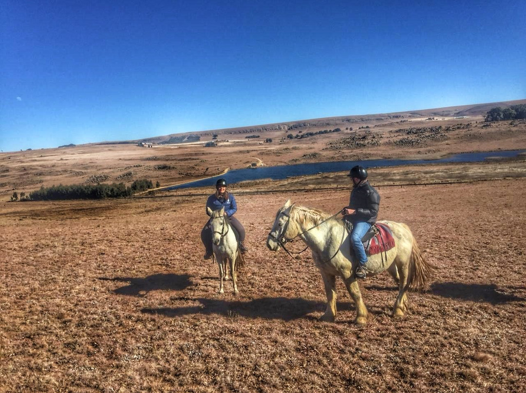 Dullstroom Horse Riding Centre-德尔斯特鲁姆必去景点