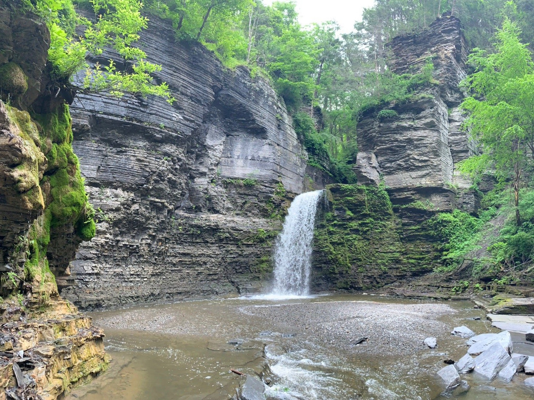 Havana Glen Park景点图片