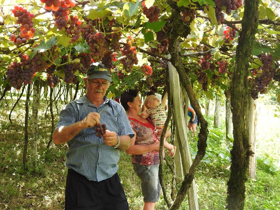 Sitio Familia Favaretto-Serio必去景点