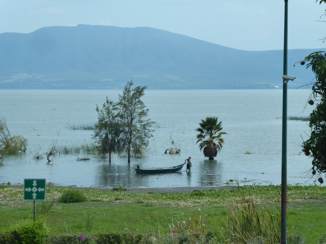 Real De Chapala主图