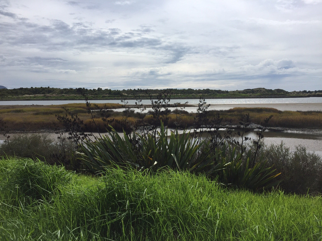 Whakatane River Walk景点图片