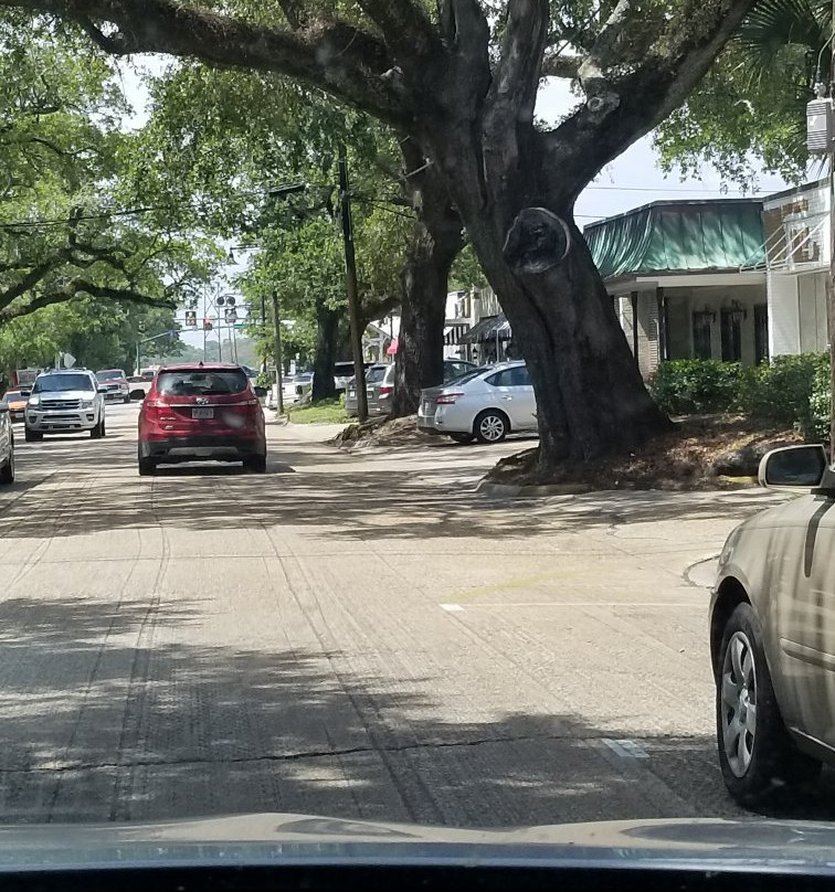 Coastal Magpie-Ocean Springs必去景点