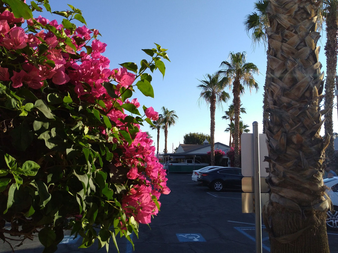 Emerald Inn Blythe主图