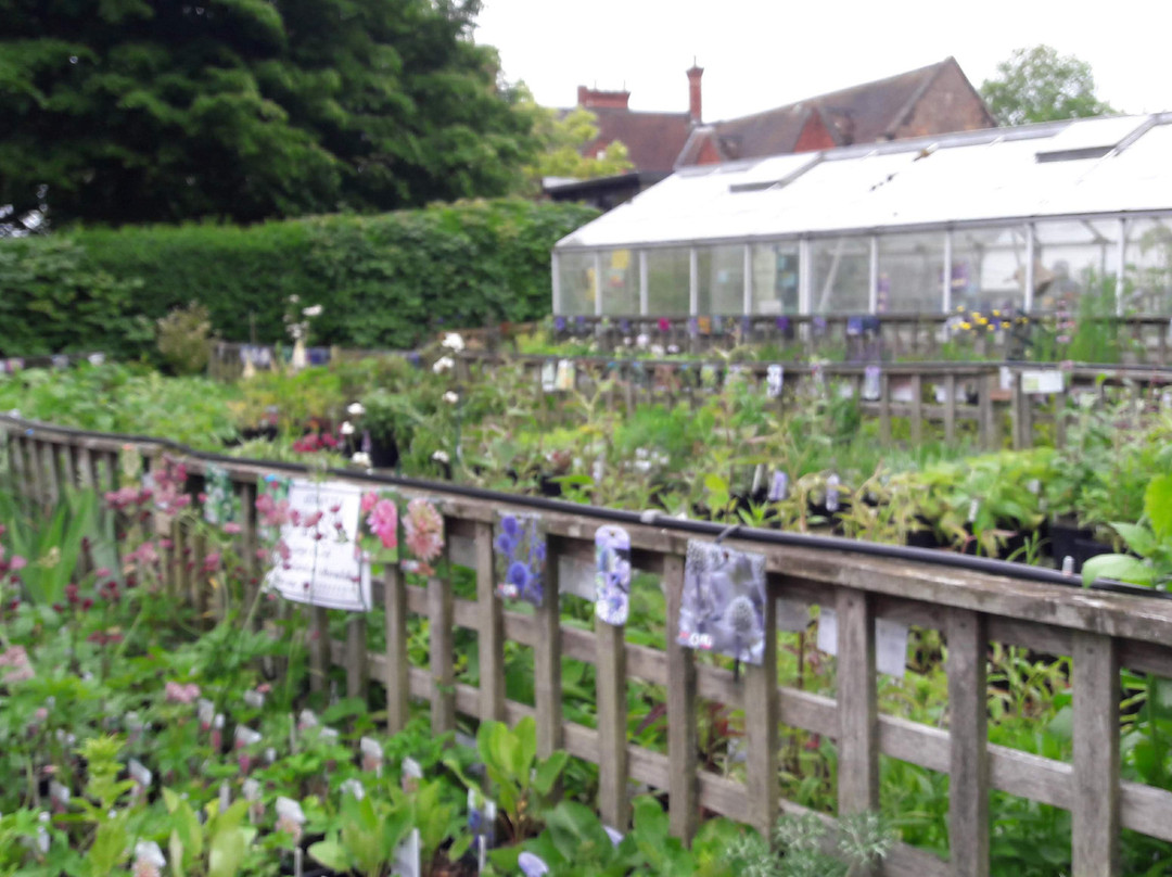 Felley Priory Gardens景点图片