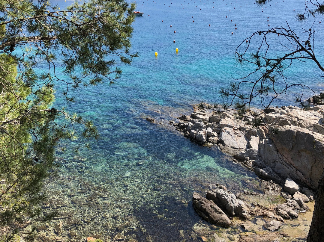 Playas de Calella景点图片
