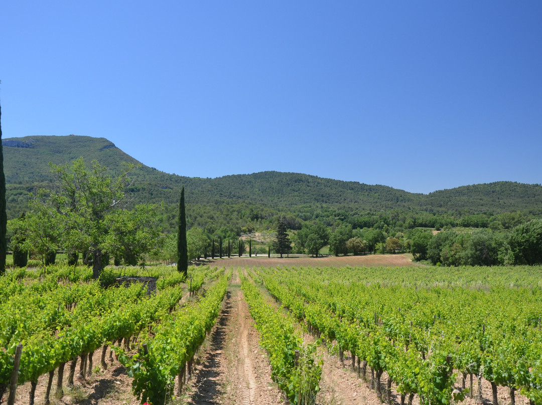 Chateau La Calisse景点图片