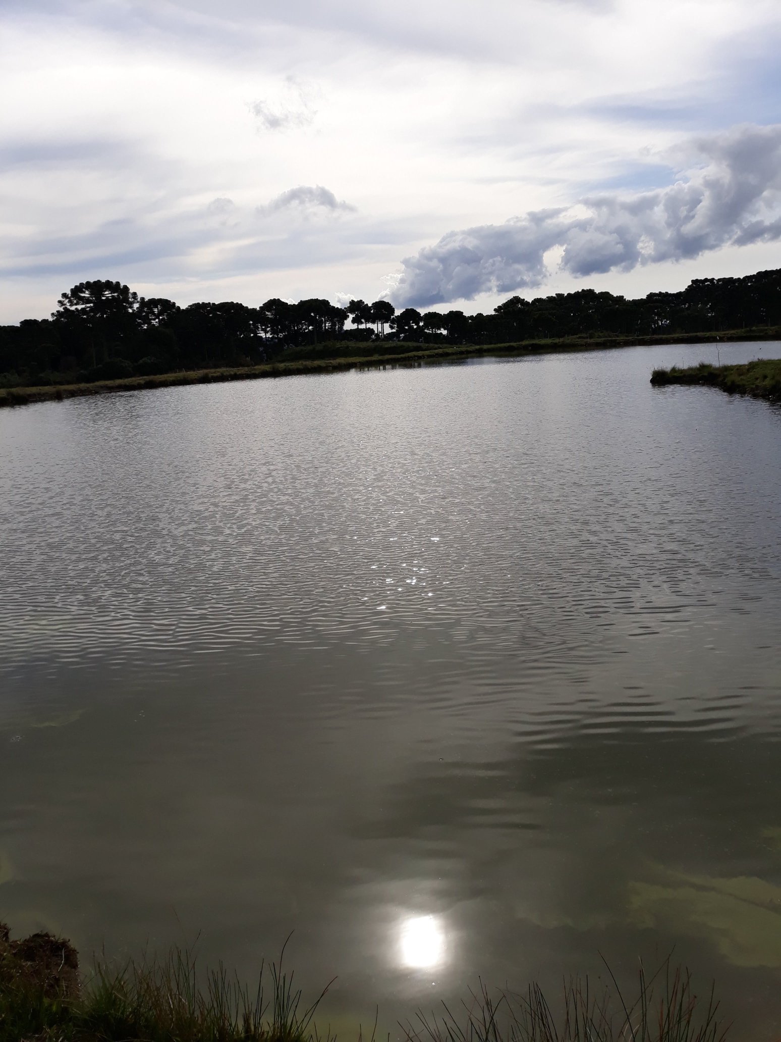 Pousada Vale Da Neblina-家庭/游戏区