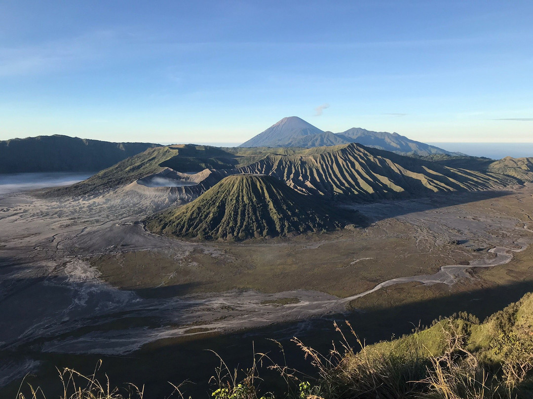 Ijen Blueflame Tour - Day Tours景点图片