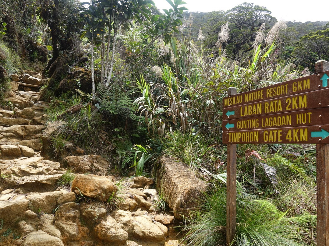 Borneo Trails Tours & Travel-亚庇必去景点