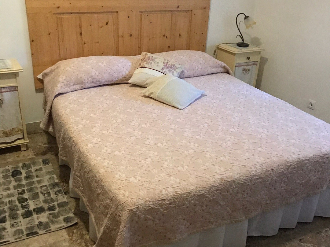 B&B La Collina dei Ciliegi主图