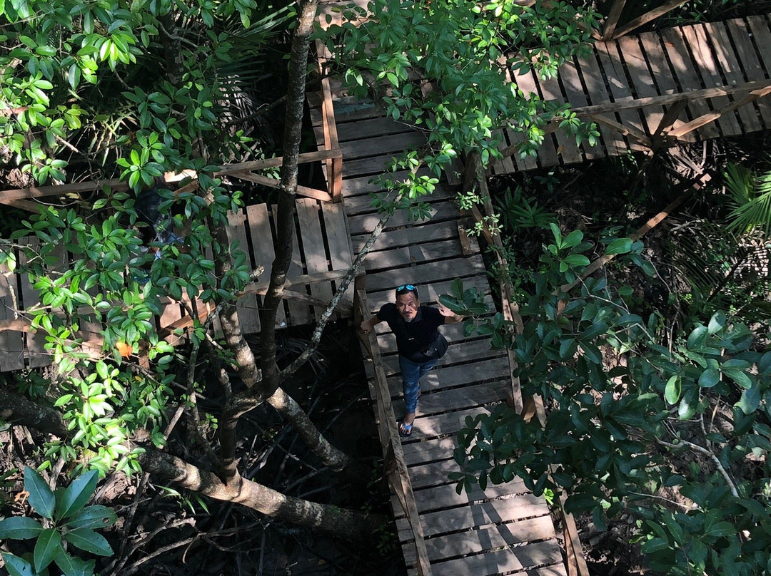 Munjang Mangrove景点图片