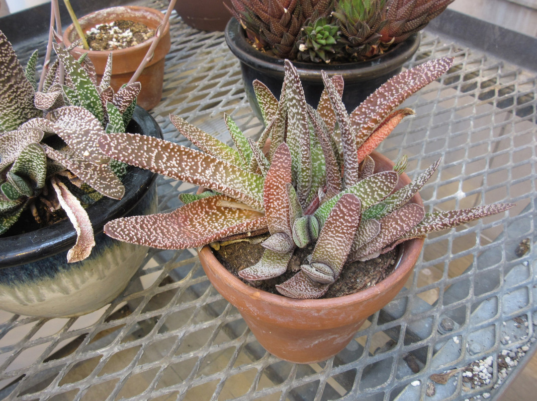 The K.C. Irving Environmental Science Centre and Harriet Irving Botanical Gardens-Wolfville必去景点