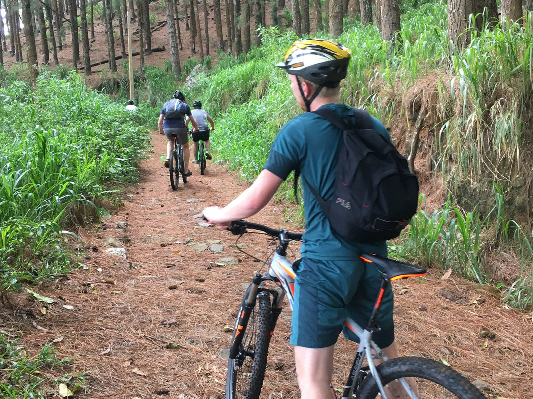 Bellwood Hills Resort & Spa主图