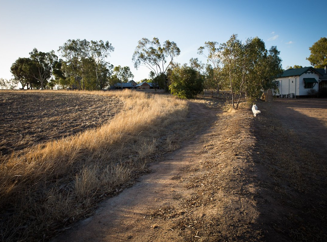 Hillside Country Retreat主图