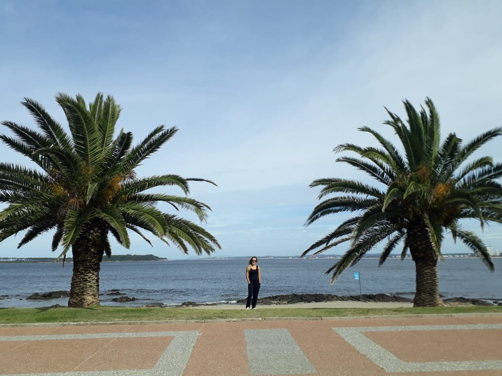 Muelle Mailhos-埃斯特角城必去景点