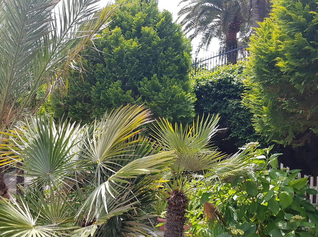 阿德里安娜别墅酒店主图