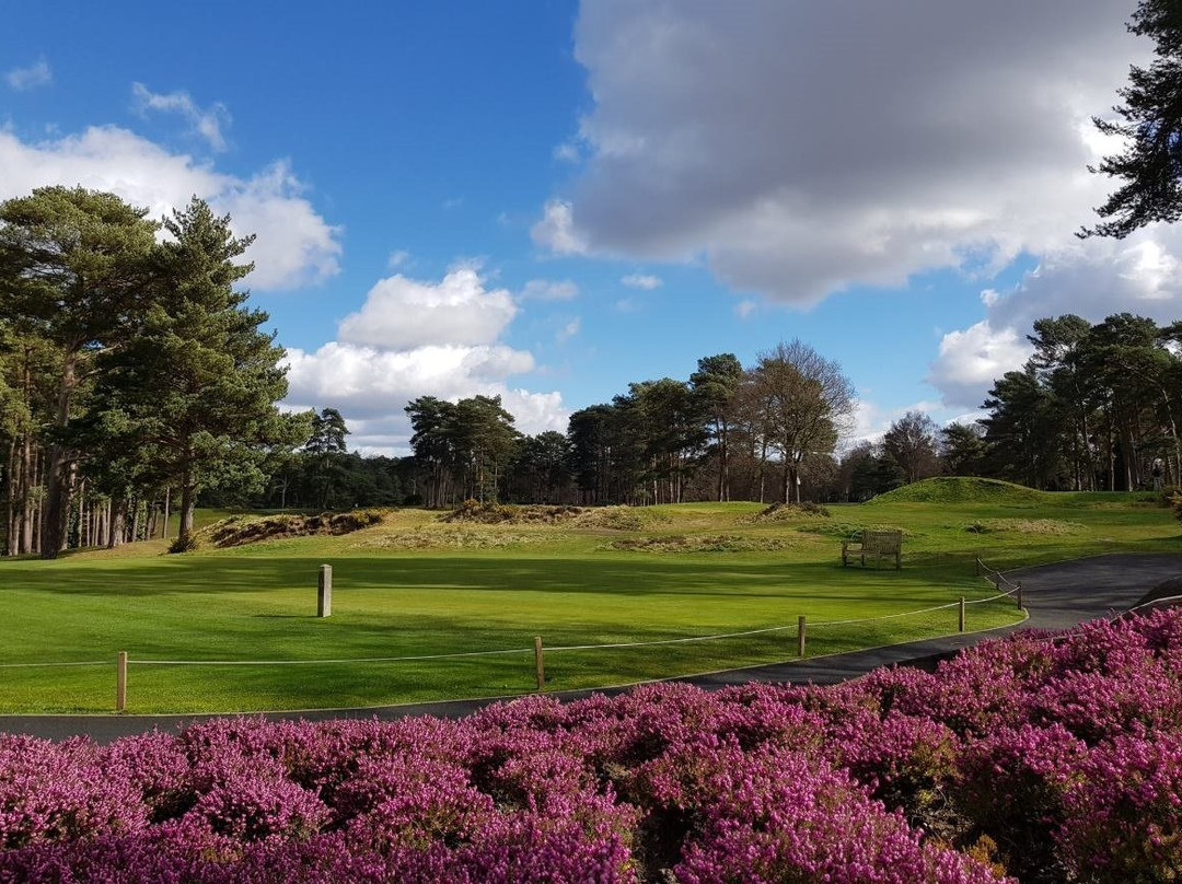 Camberley Heath景点图片