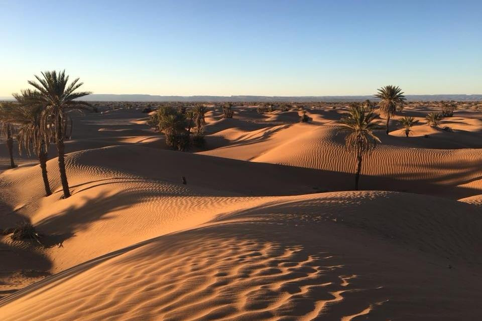 Mélodie du désert-迈哈米德必去景点