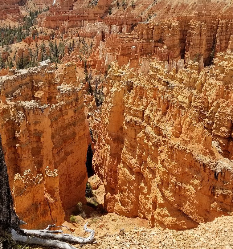 Rim Trail景点图片