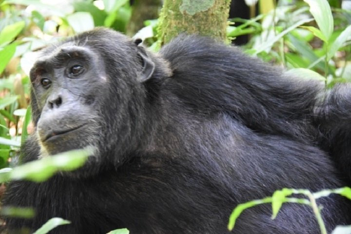 Range Land Safaris Limited-坎帕拉必去景点