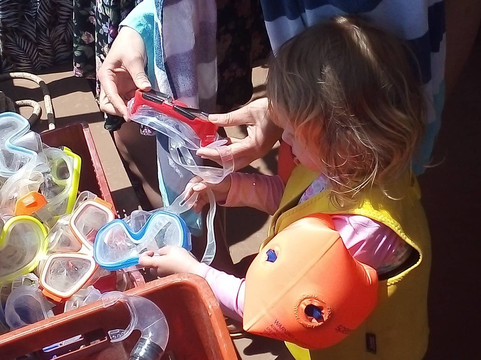 Dolphin Cruises-雷斯蒙必去景点