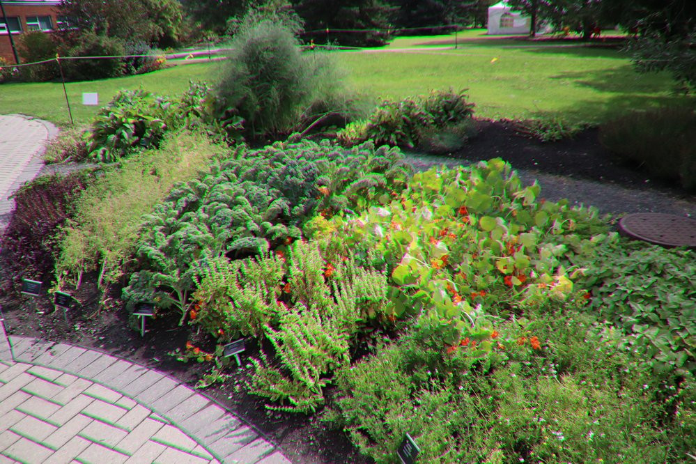 Olds College Botanic Gardens & Constructed Wetlands景点图片