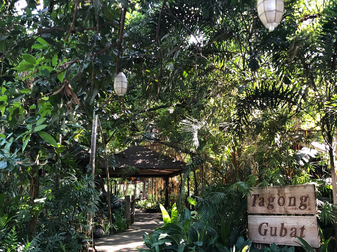 巴莱伊莎贝尔俱乐部酒店主图