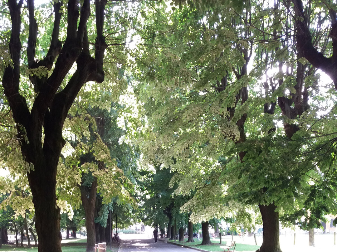 Parco di Rovellasca景点图片