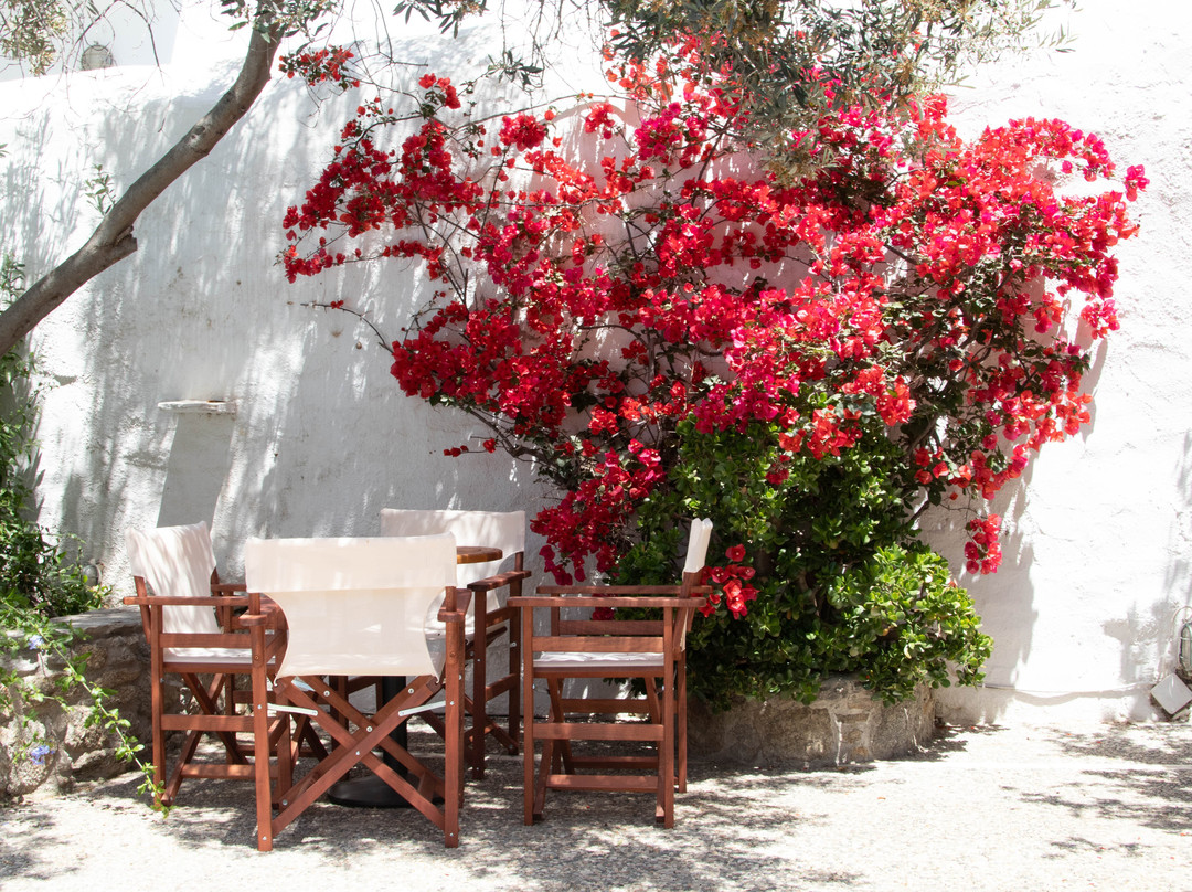 Andromeda Residence主图