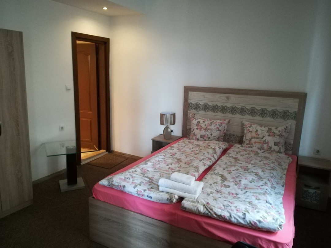 Hotel Priyateli主图