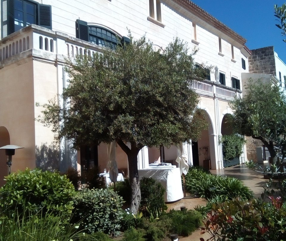 Museo Col.leccio Pintor Torrent-休达德亚必去景点