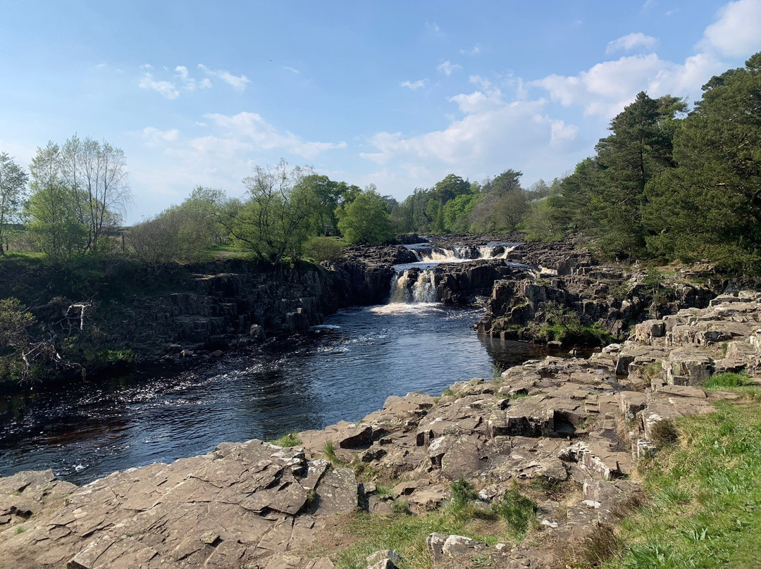 Low force